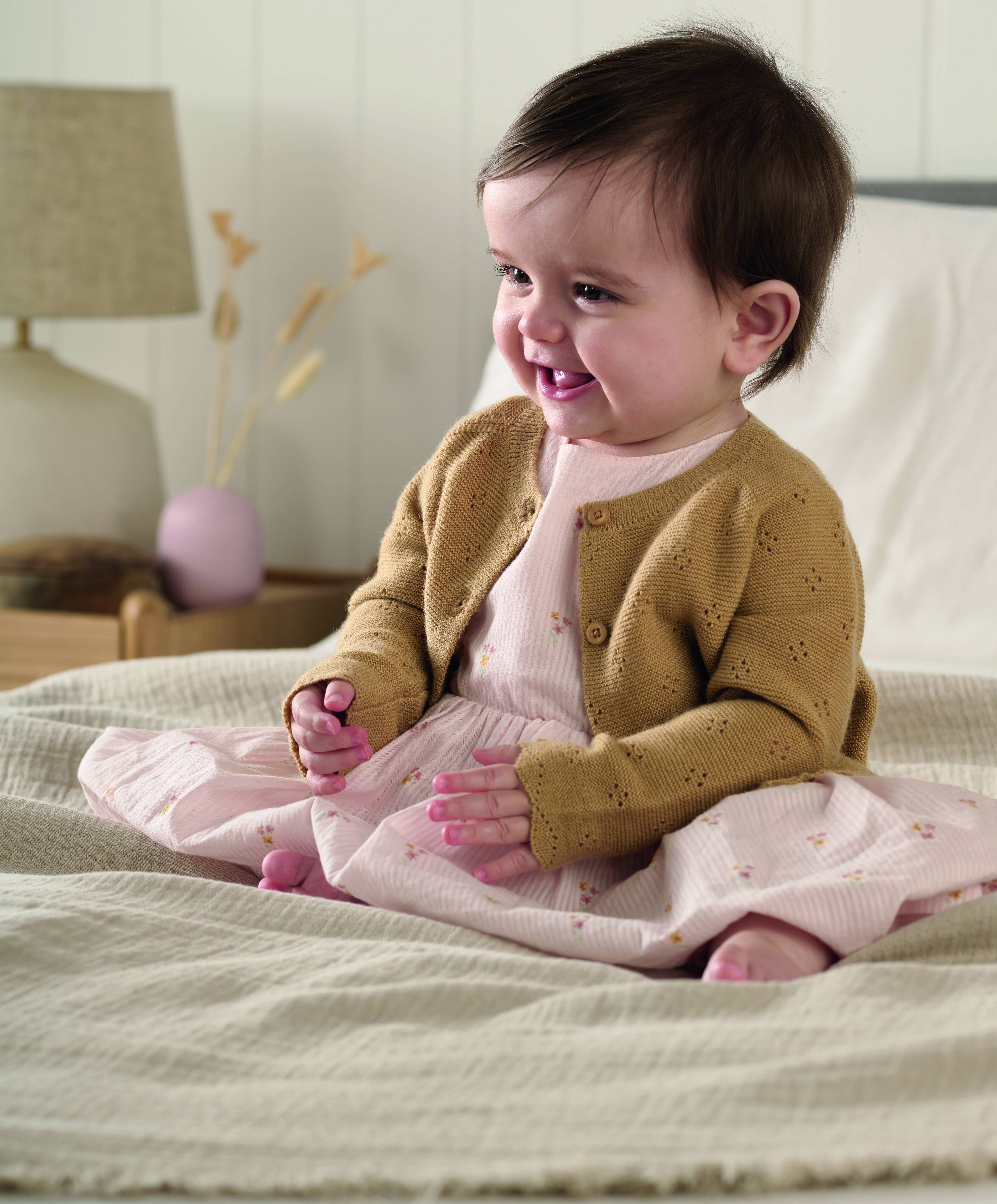 كارديغان بحافة صدفية image number 5