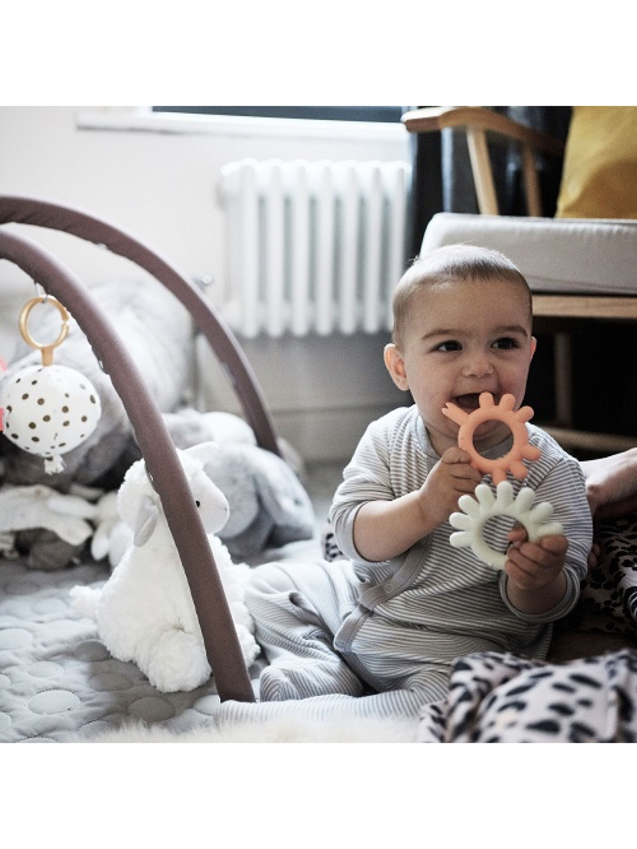 حلقة تسنين سيليكون خالية من مادة بيسفينول أ وغير سامة من بورن - تصميم سلحفاة image number 4