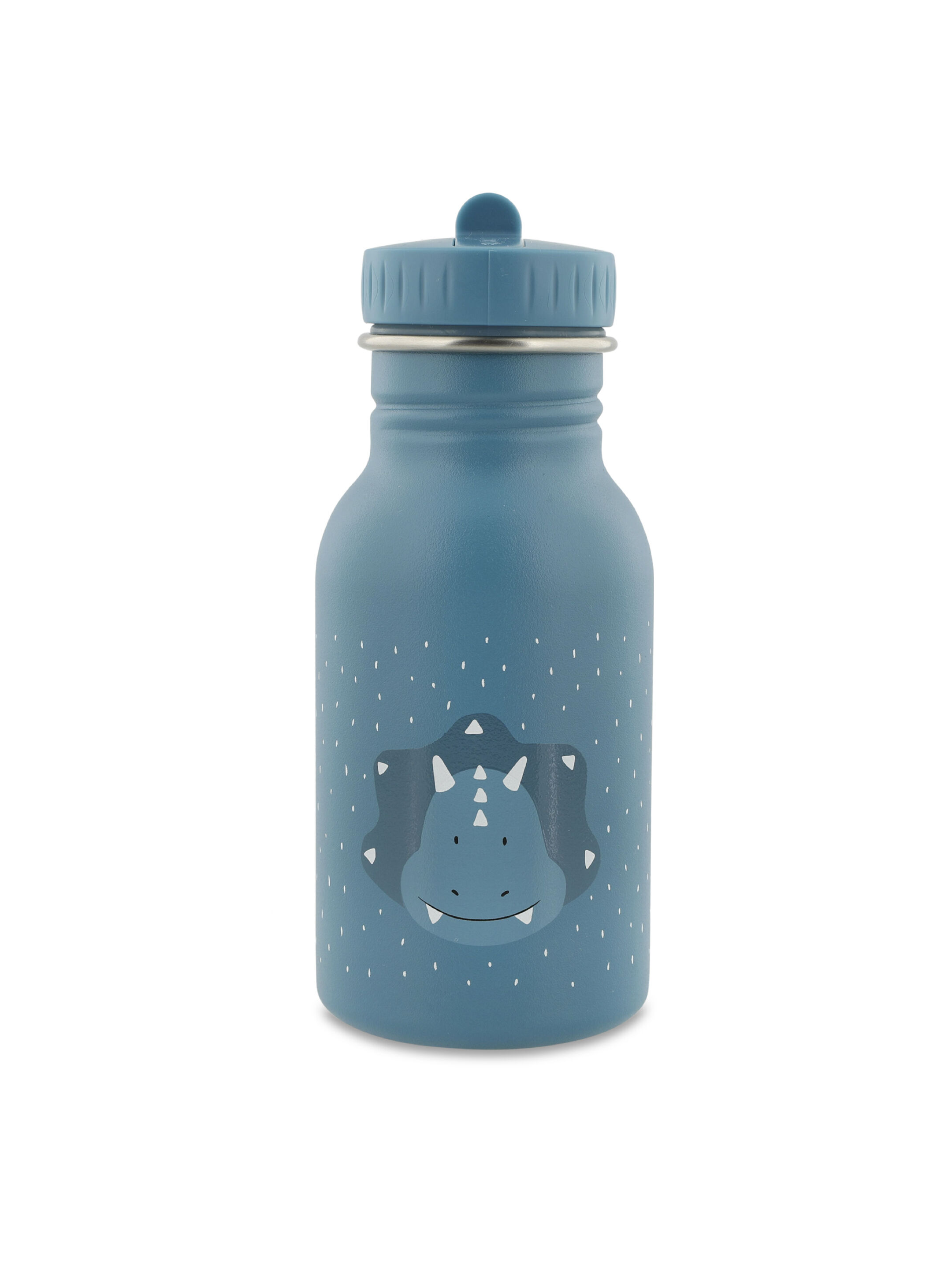 Trixie Stainless Steel Water Bottle - 350ml - Mr. Triceratops