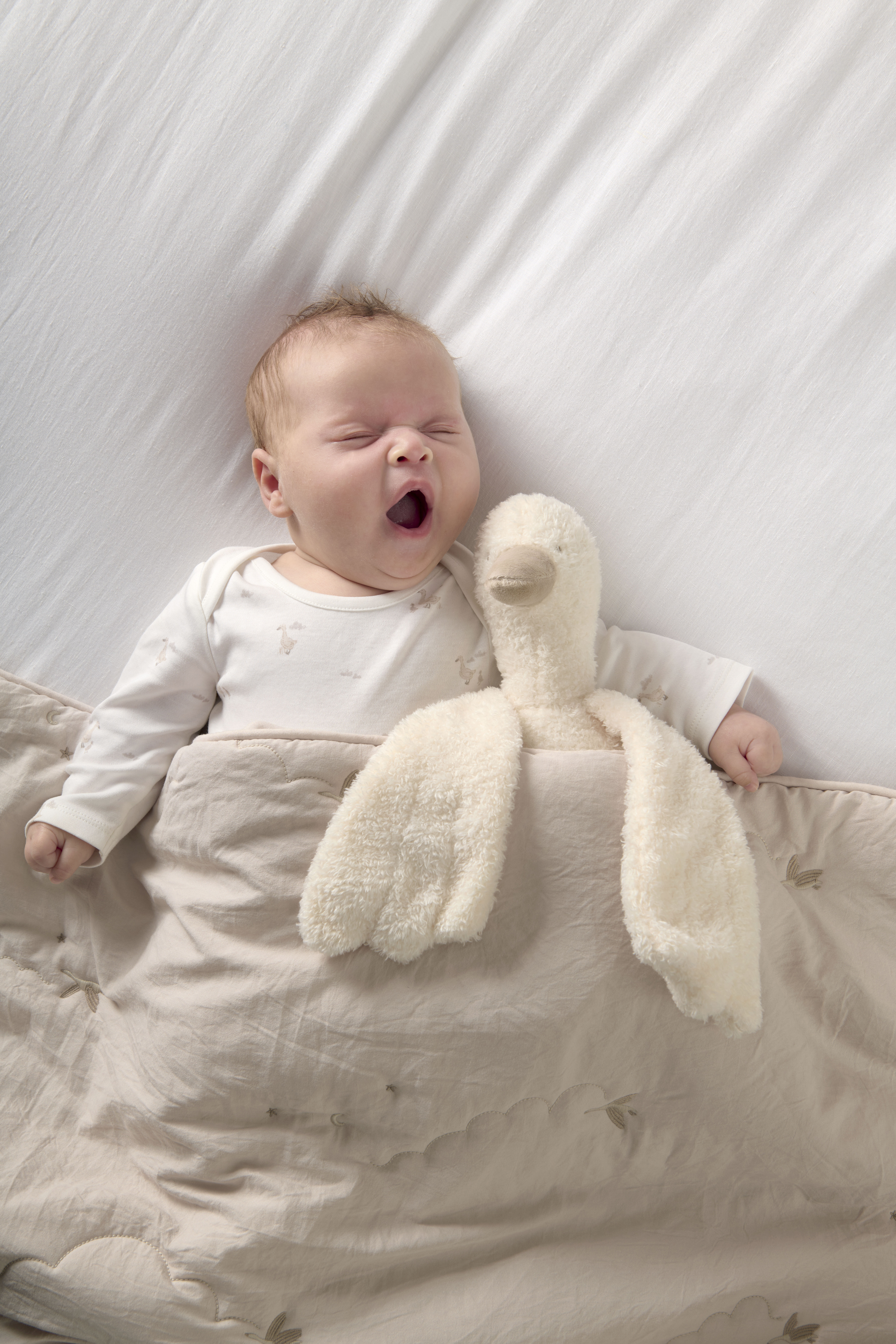 لعبة لينة - ويلكم تو ذا وورلد لينة داكلينج image number 2