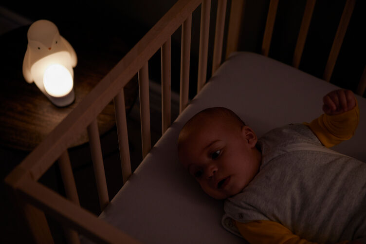 مصباح ليلي محمول 2 في 1 بتصميم بطريق من تومي تيبي image number 5