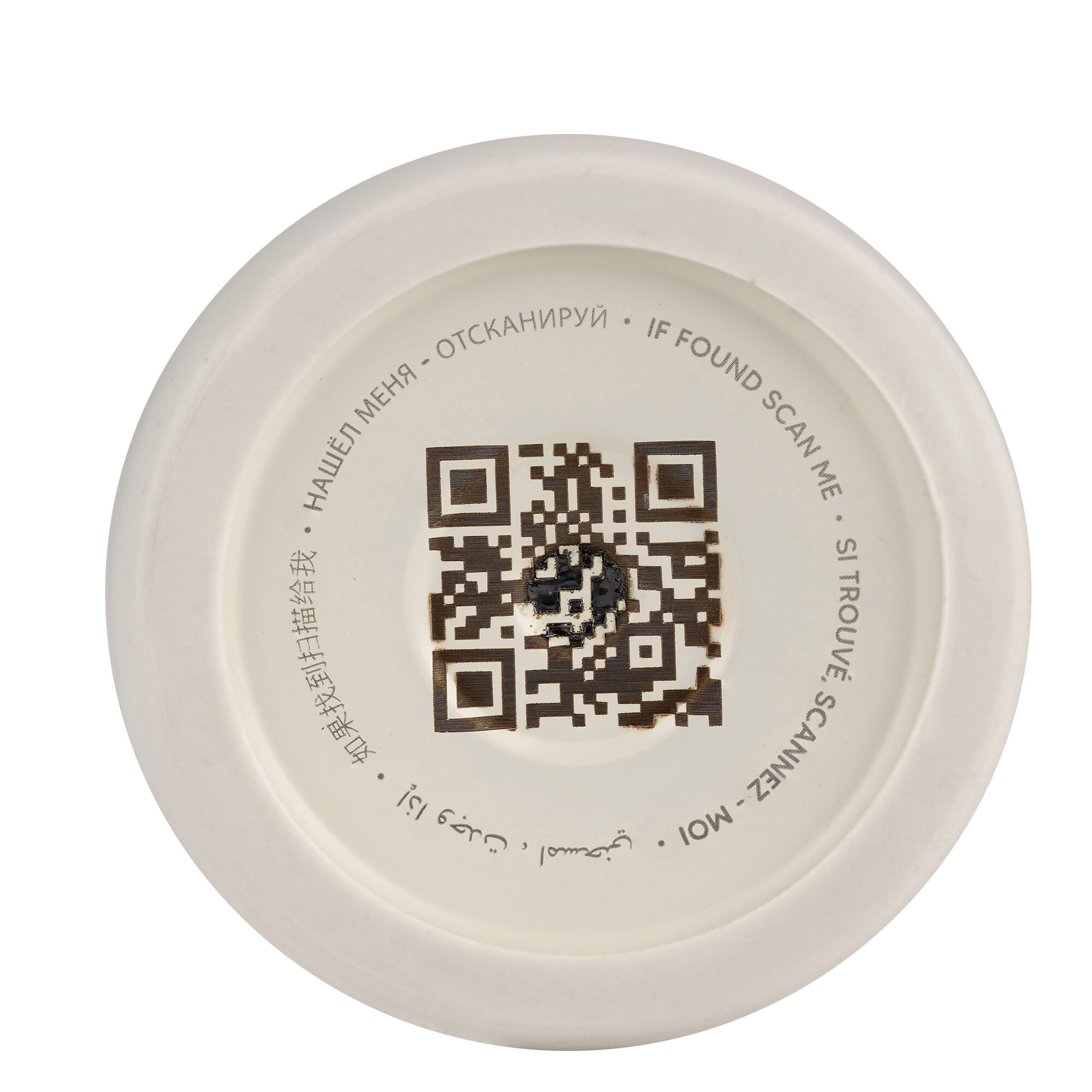 زجاجة مياه 250 ملل من سيترون - نقشة ديناصور image number 6