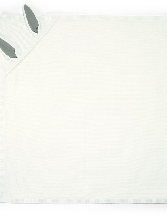 بطانية باني إيرز المتشابكة (78 × 78 سم) image number 1