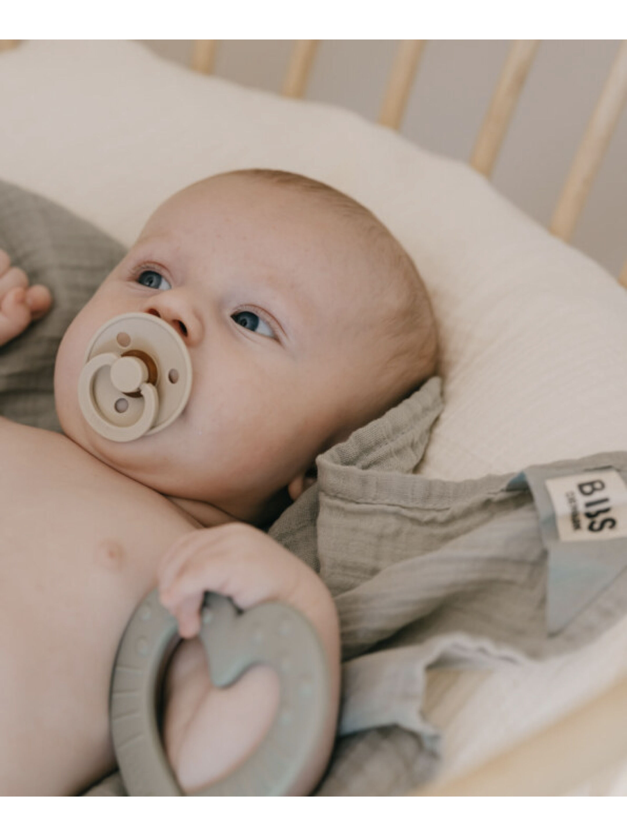 مجموعة لهايات بيبس كولور مقاس 2 للأطفال من 6 شهور فأكثر فانيليا/وردي - قطعتان image number 4