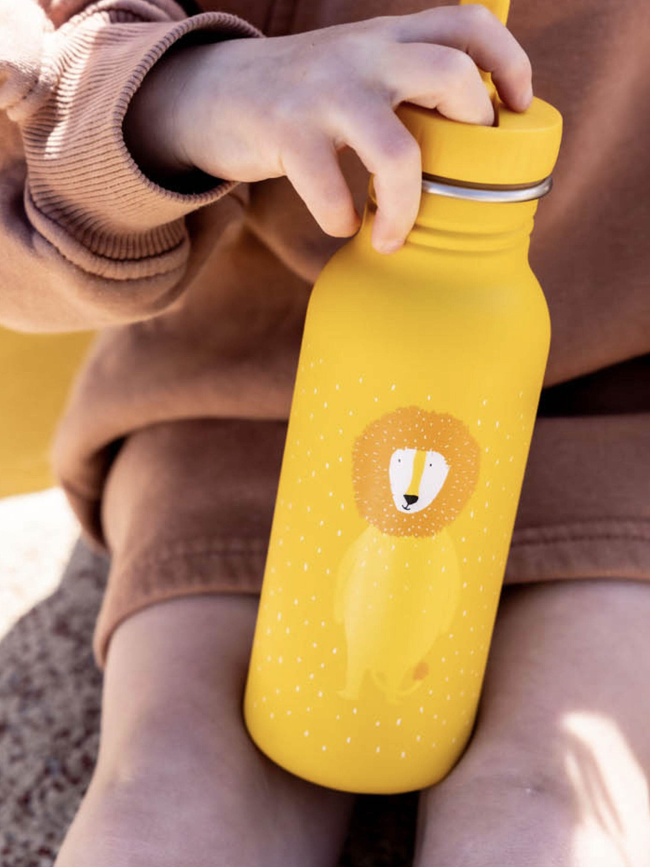 Trixie Stainless Steel Water Bottle - 500ml - Mr. Lion
