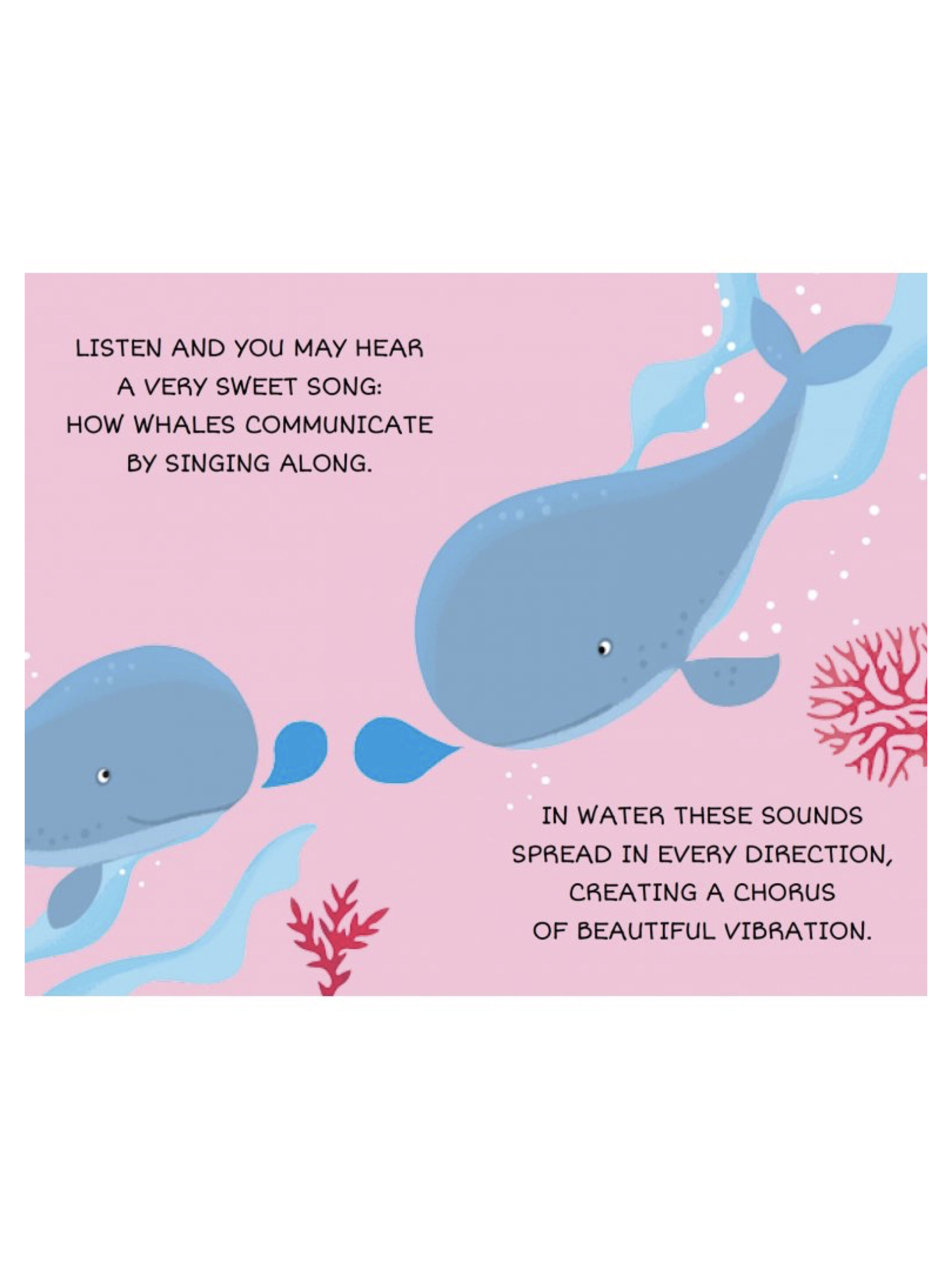 مجموعة كتب ماي فيرست ليبراري من ساسي - حيوانات البحر image number 5