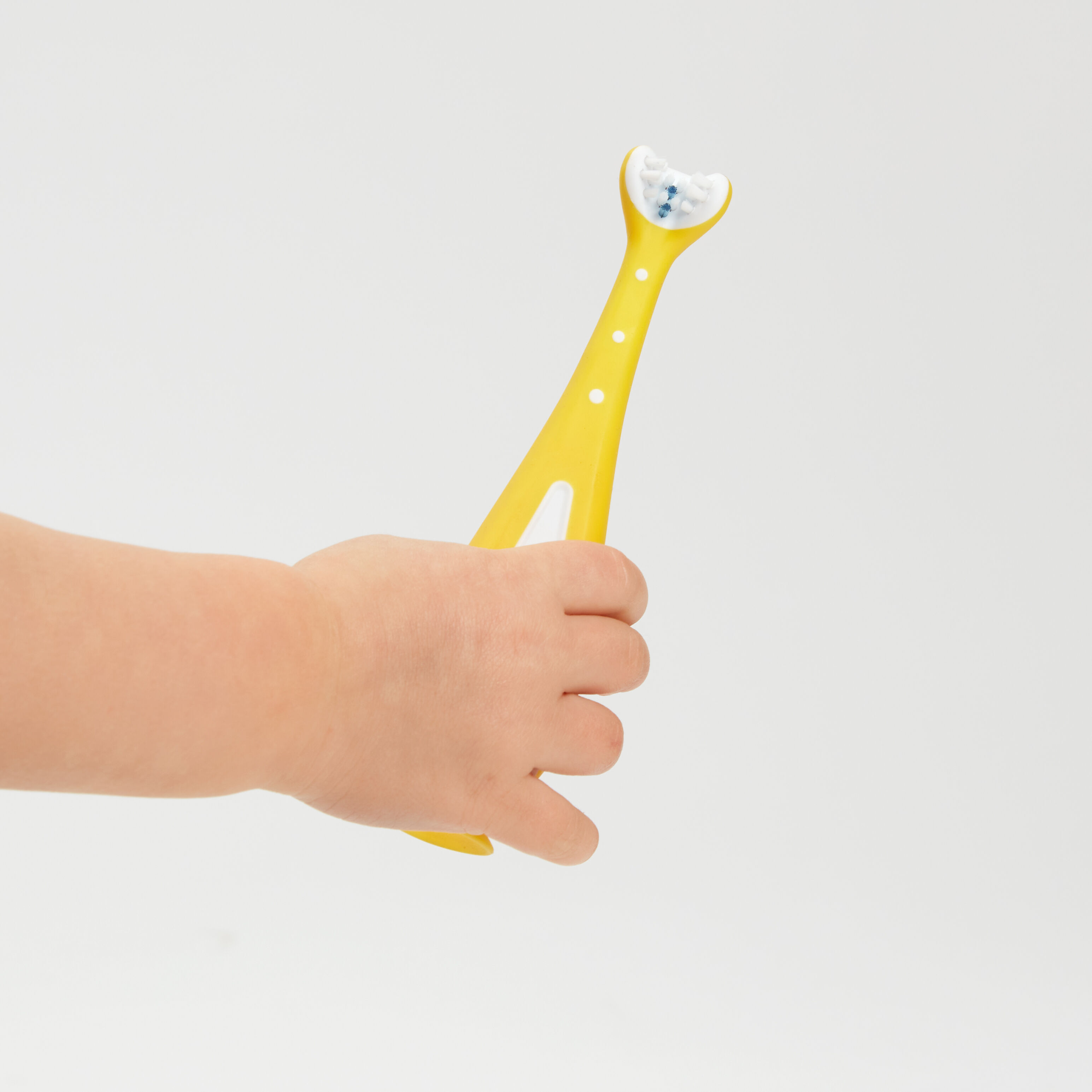 مجموعة فرشاة التدريب على غسل الأسنان جرو ويذ مي فريدا بيبي image number 3